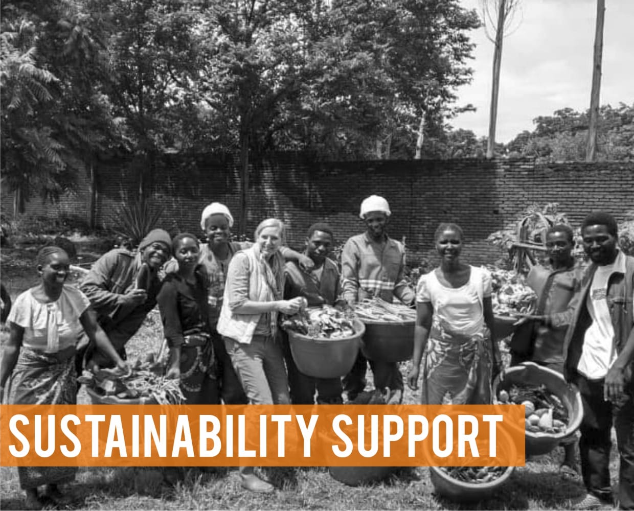 sustainability tree planting donations training