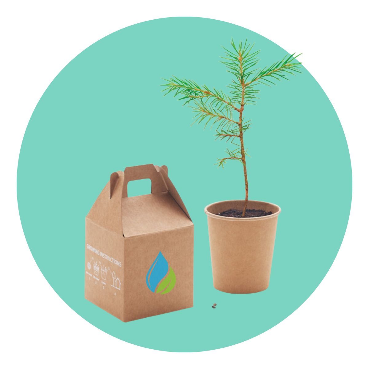 eco friendly corporate gift idea growable seed box printed with custom logo